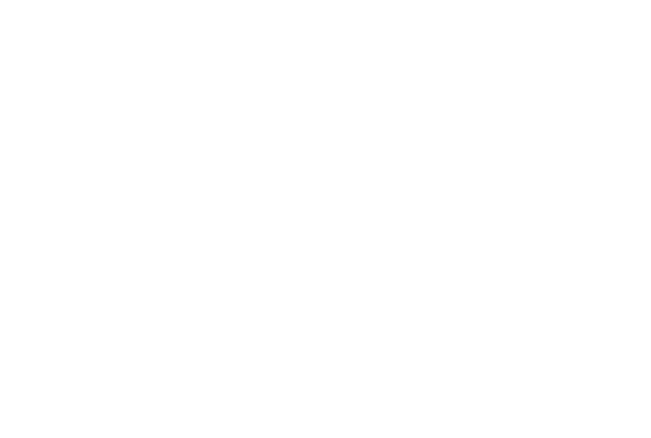 web logo